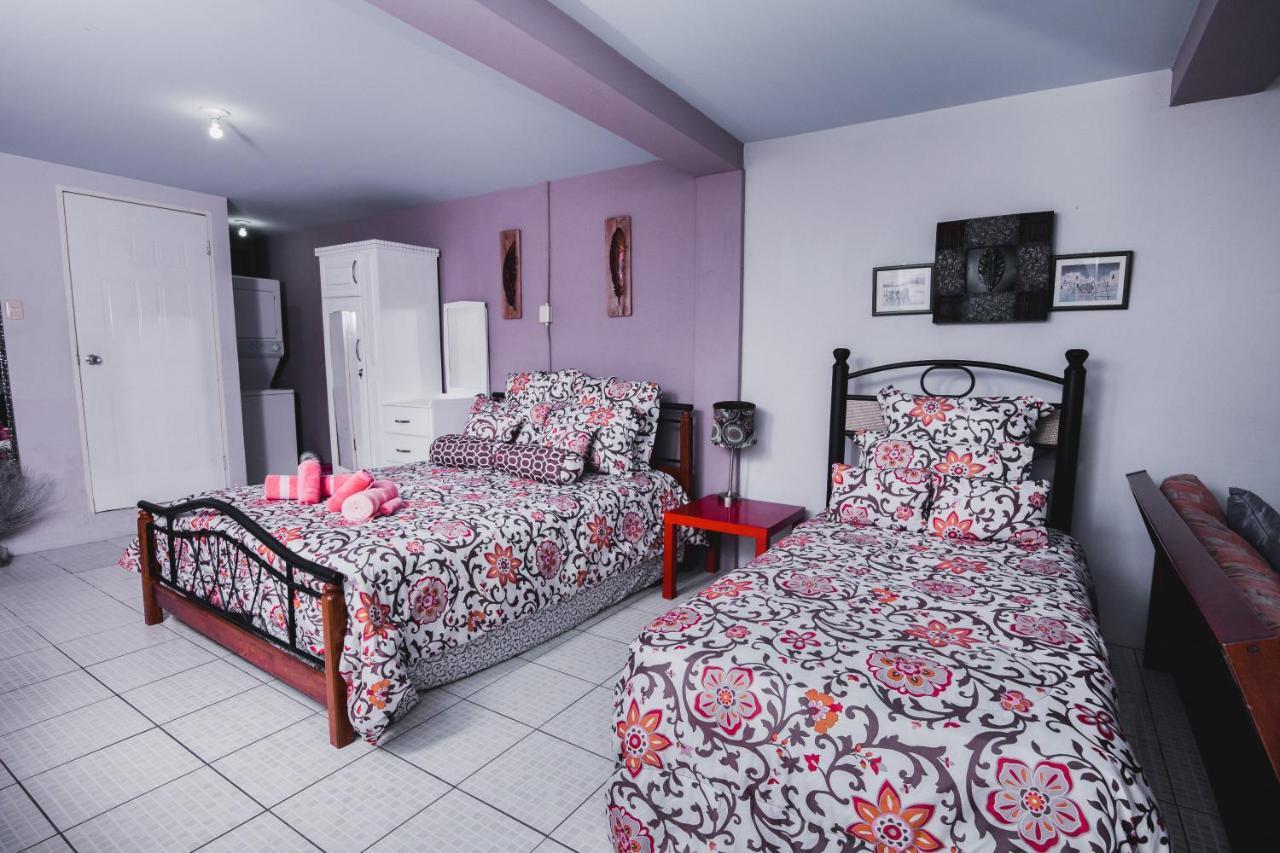 Saint Joseph The Valley Oasis Inn מראה חיצוני תמונה